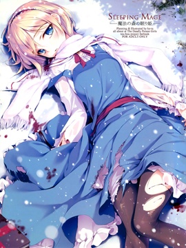 (C81) [剧毒少女 (ke-ta、日向、冬馬雪崩)] SLEEPING MAGE ‐魔法の森の眠り姫‐ 劇毒少女 Publication Number VII (東方Project)