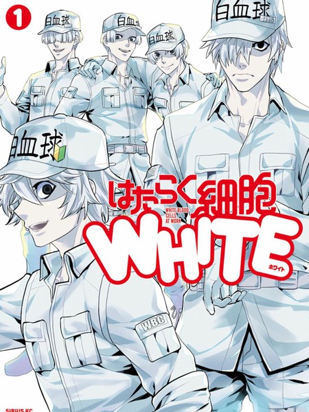 工作细胞WHITE